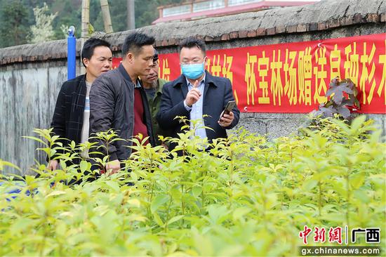 贝江河林场场长贺锦锋向群众介绍苗木种植技术。覃美 摄